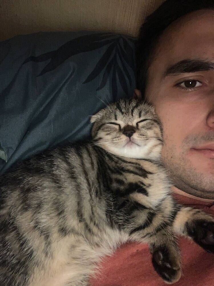 ���� 42806790 ������� ����, 33 ����, ���� ���������� � ������