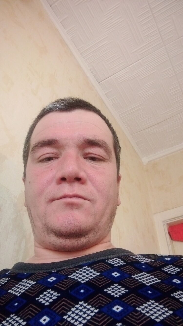  49937540  , 33 ,    