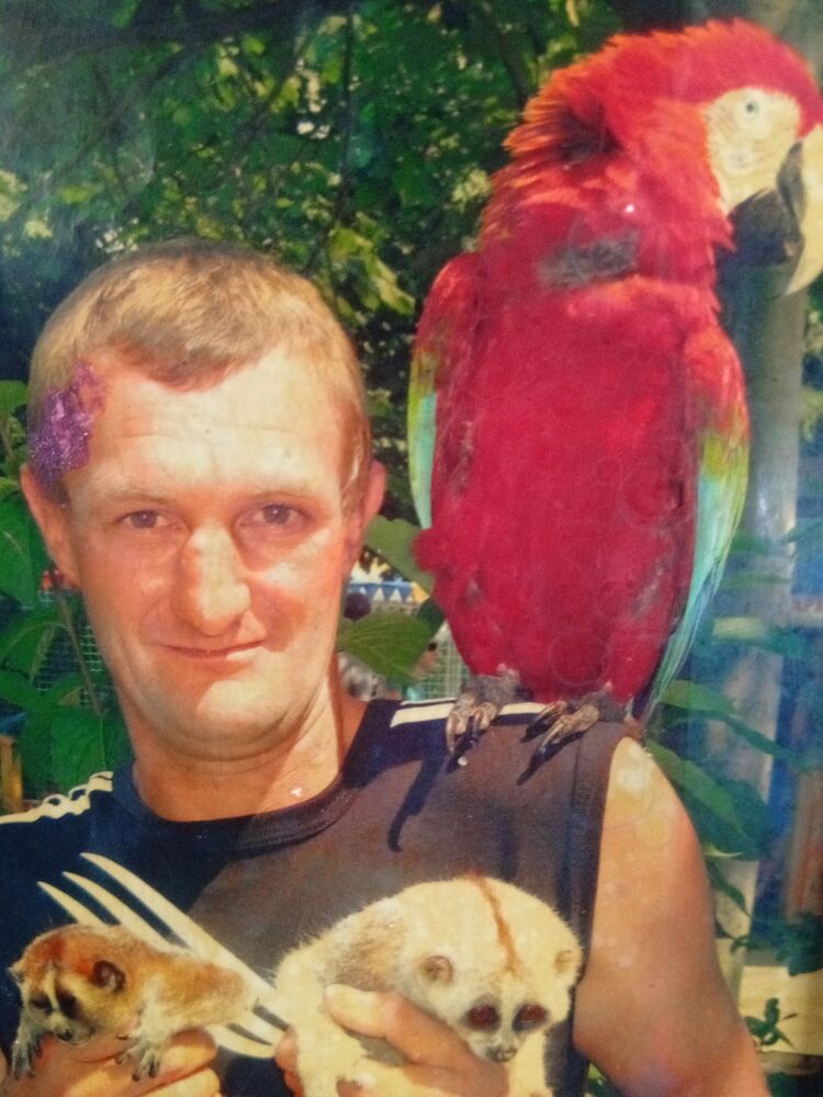 ���� 55506990 ������� �������, 50 ���, ���� ���������� � ����������