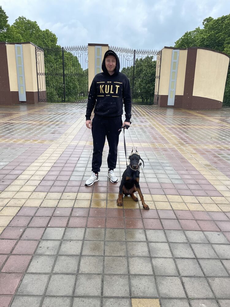  27012090  , 32 ,    --