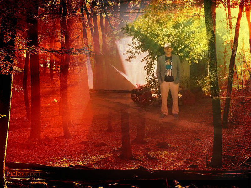 ���� 24873980 ������� ����� ������, 48 ���, ���� ���������� � ���������