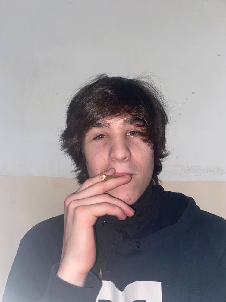  33437080  , 22 ,    