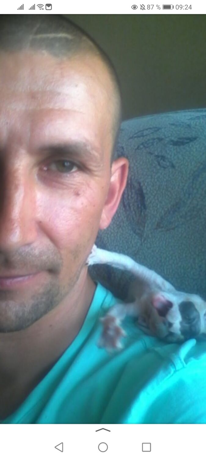 ���������� �����������, ���� ������� �������, 48 ���, ������������ ��� ������, ����� � ���������, c�������� ���������, ���������