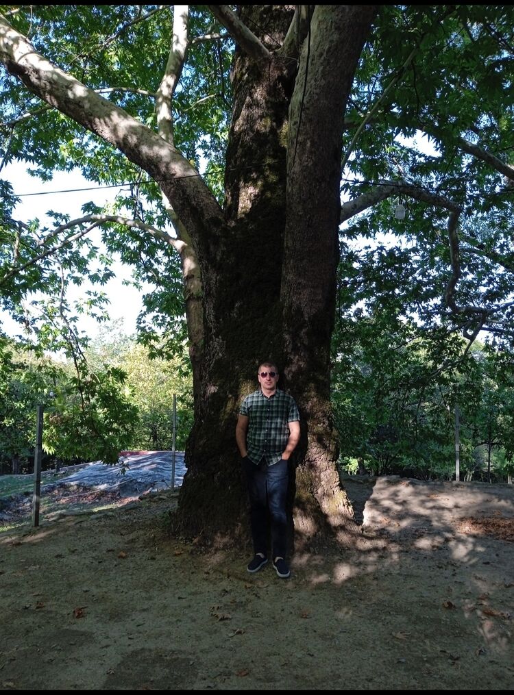 ���������� ������, ���� ������� ������, 41 ���, ������������ ��� ������, ����� � ���������