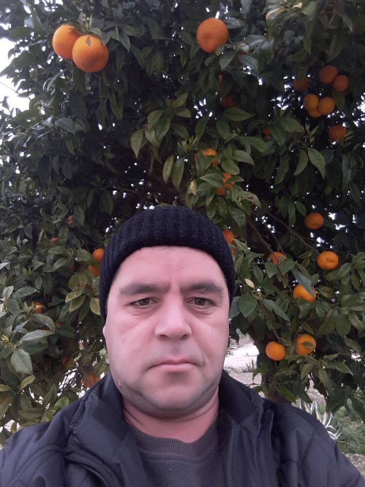  ,    , 43 ,   ,   