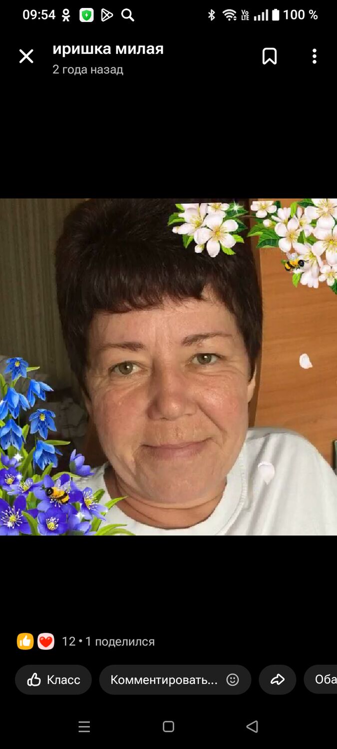 ���� 56194350 ������� �����, 40 ���, ���� ���������� � �����������