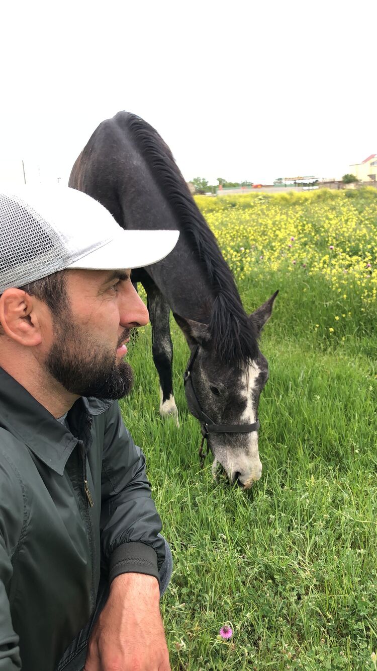 ���������� ���������, ���� ������� ����, 40 ���, ������������ ��� ������, ����� � ���������