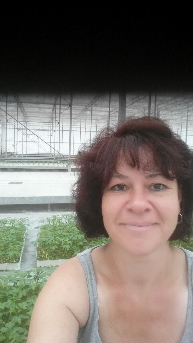  -,   , 48 ,   ,   , c 