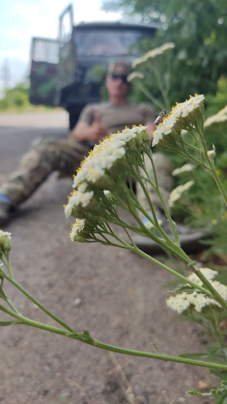 ���� 27981270 ������� Dude, 46 ���, ���� ���������� � ������