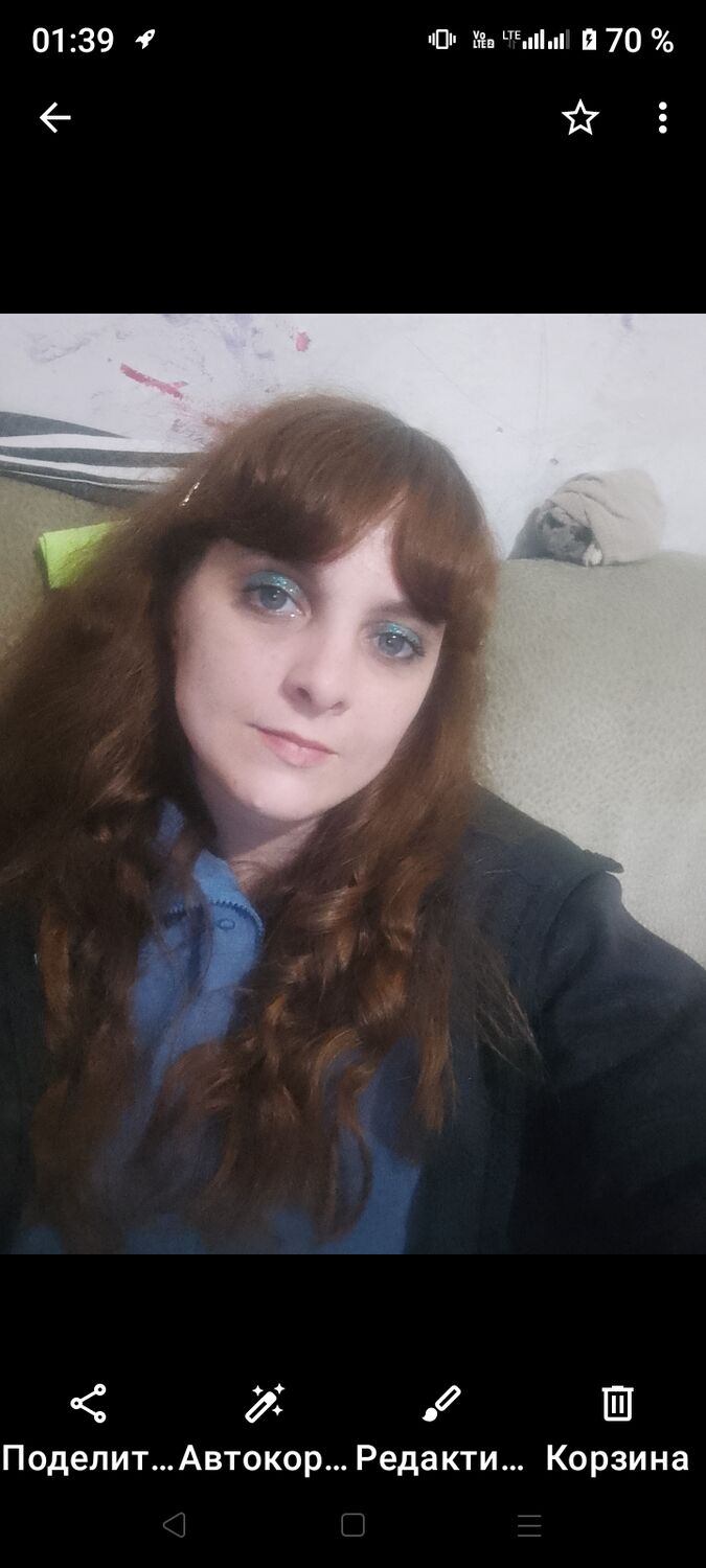  43633420  , 31 ,    -