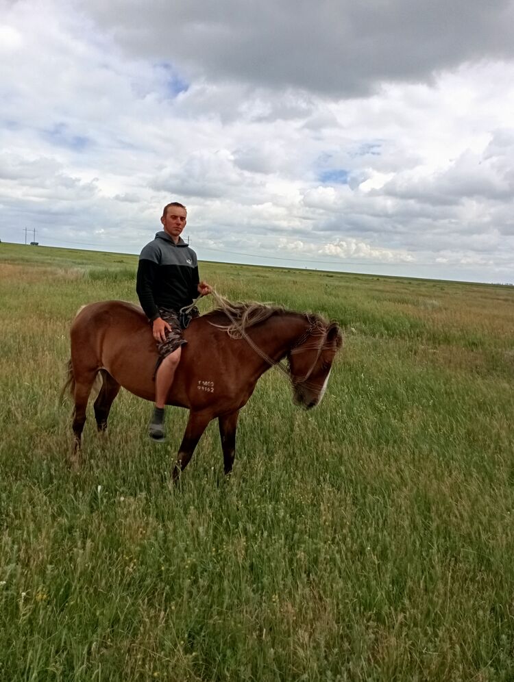 ���� 44157760 ����� �����, 21 ���, ���� ���������� � ������