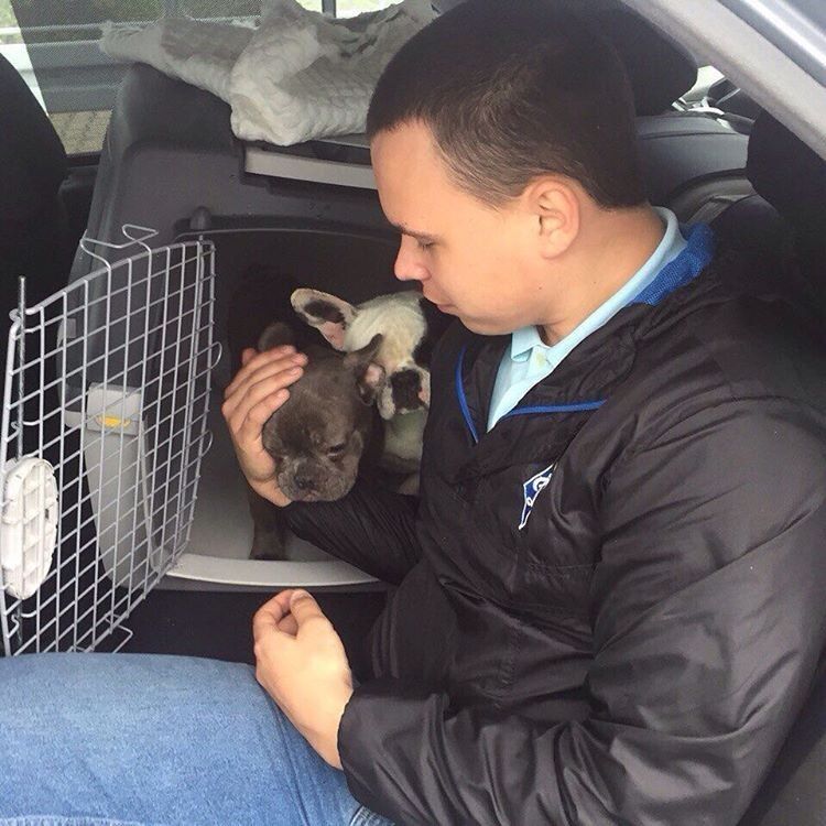 ���� 9631590 ������� ������, 28 ���, ���� ���������� � ������