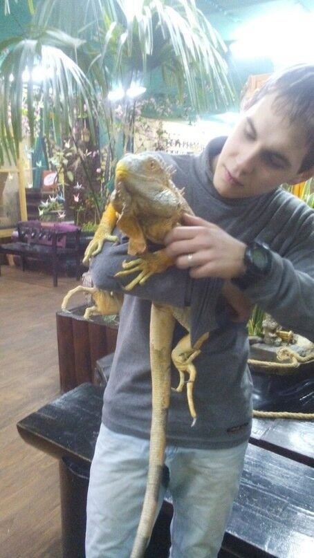 ���� 18521190 ������� �������, 30 ���, ���� ���������� � �������������