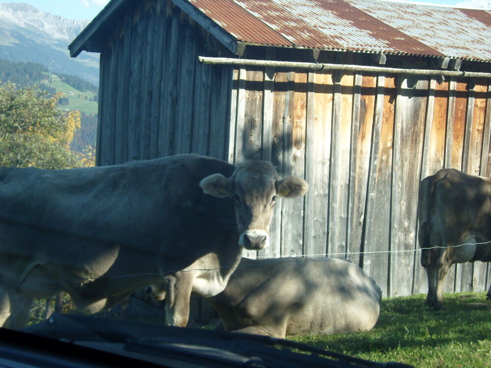 ���������� ������, ���� ������� ��������, 48 ���, ������������ ��� ������