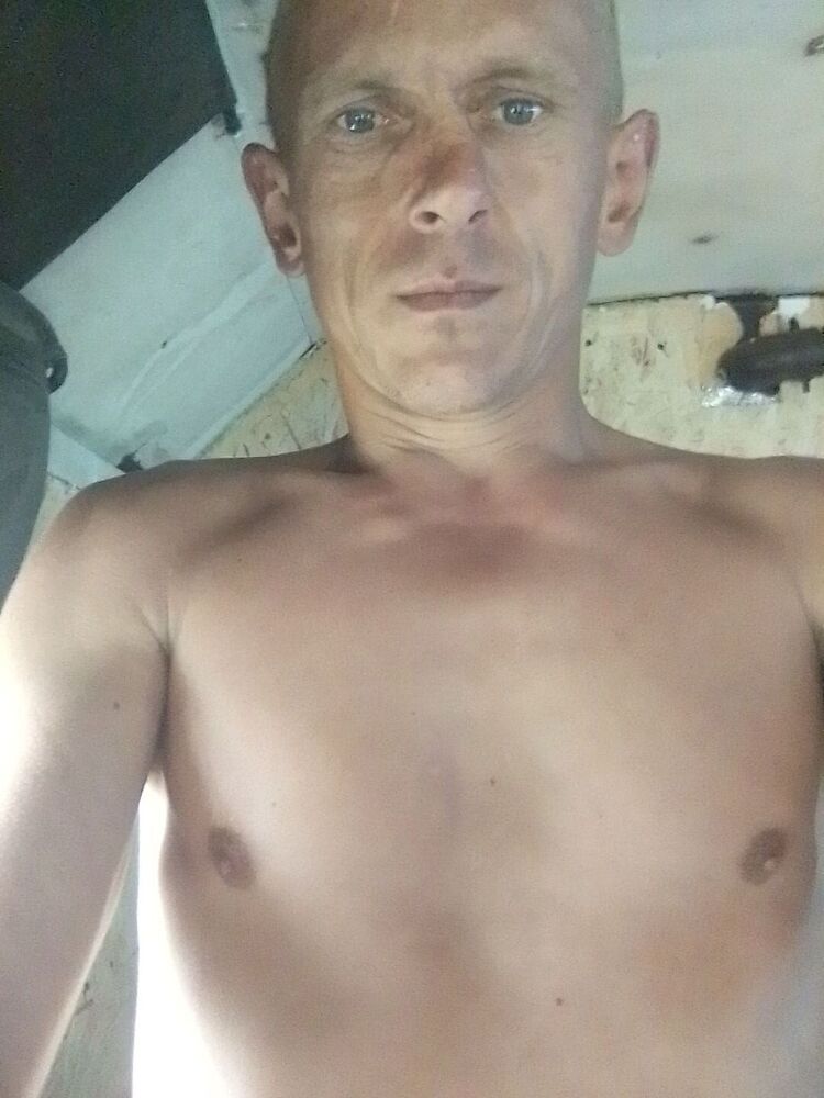  28628460  , 38 ,    
