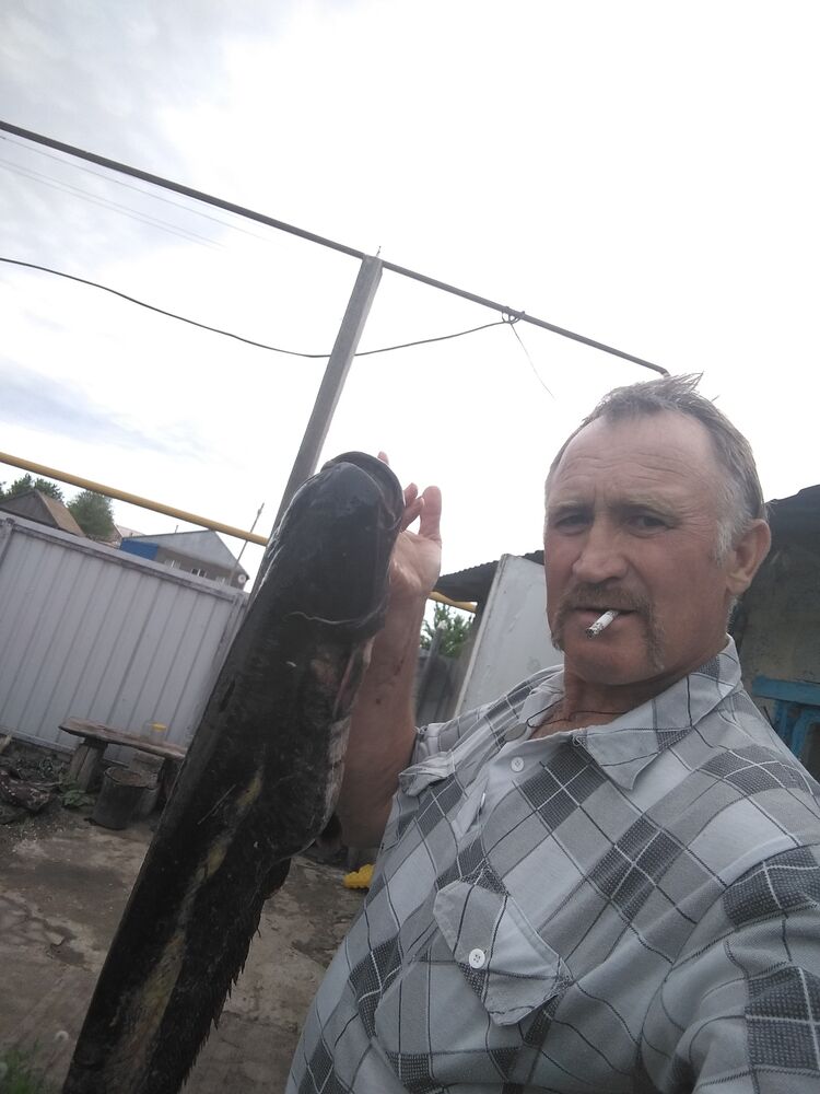  28661600  , 61 ,    