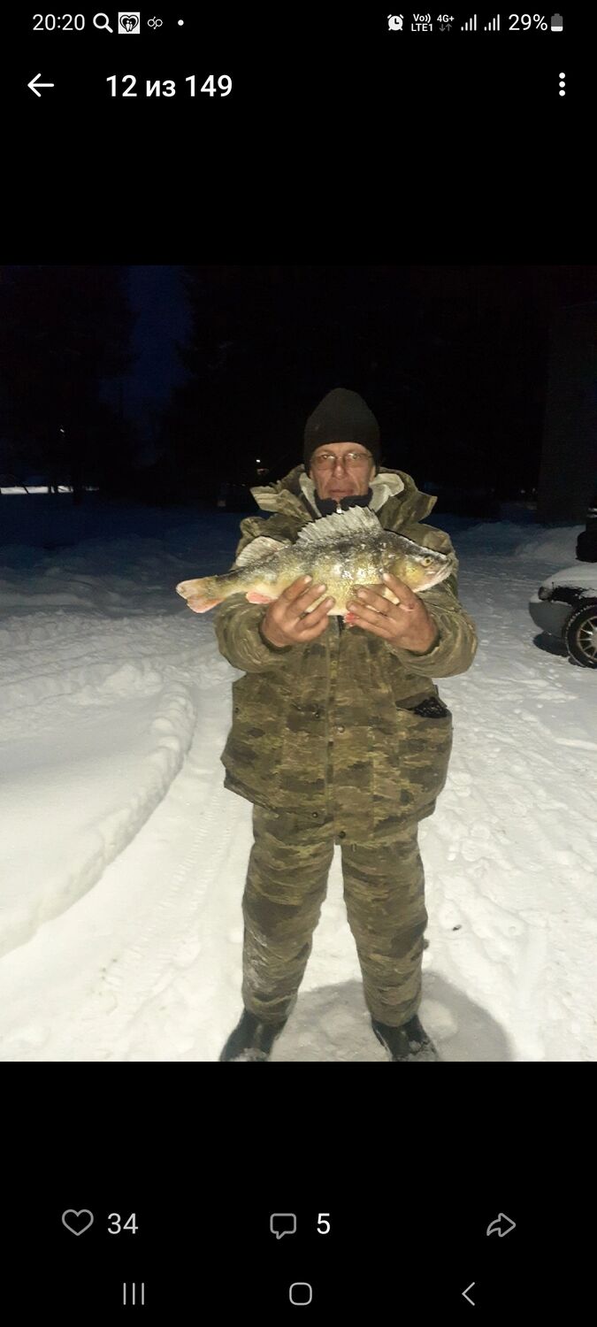 ���������� �����-���������, ���� ������� ����, 54 ����, ������������ ��� ����� � ���������, c�������� ���������, ���������