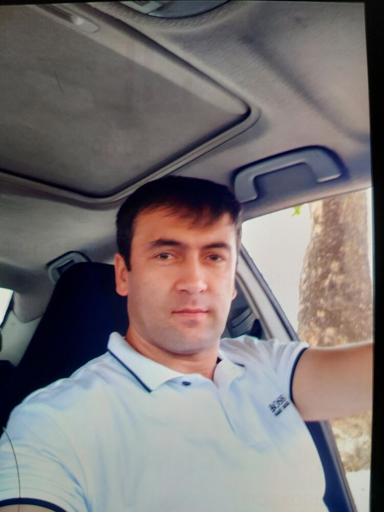  31567640  , 37 ,    -