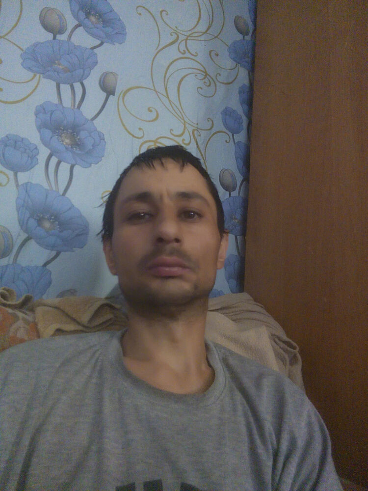  15520200  , 43 ,    