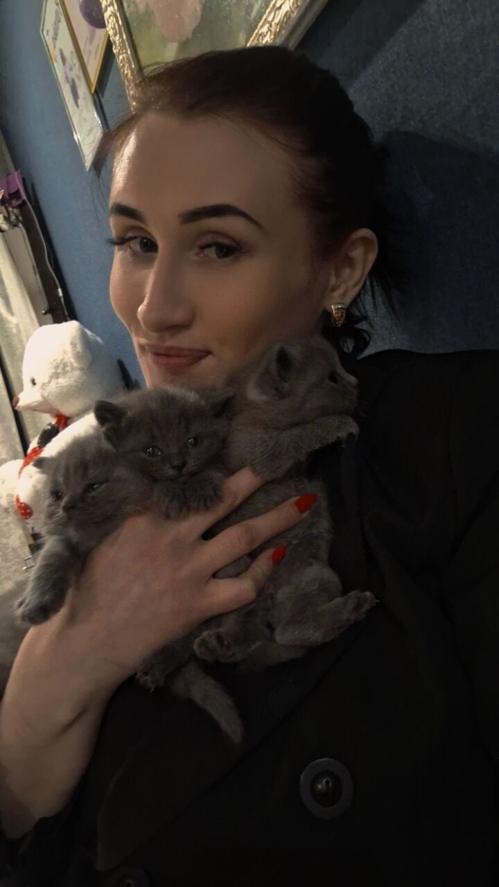 ���������� ���������, ���� ������� ����, 31 ���, ������������ ��� ���������