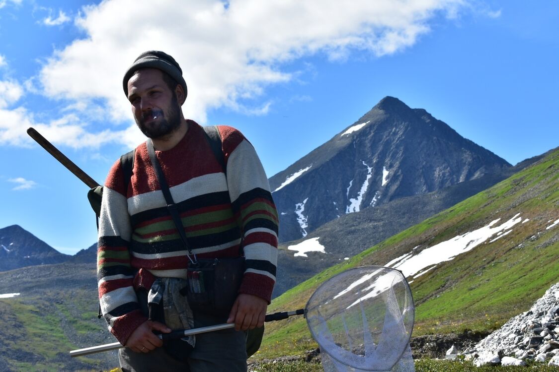 ���������� ������, ���� ������� �������, 41 ���, ������������ ��� ������, ����� � ���������, ���������