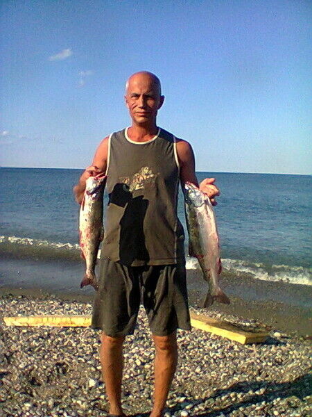  ,   , 55 ,   , 