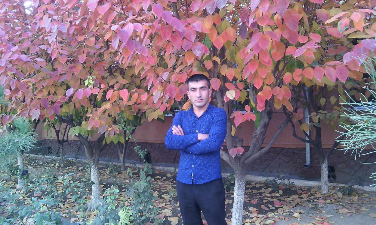  38298370  , 40 ,    