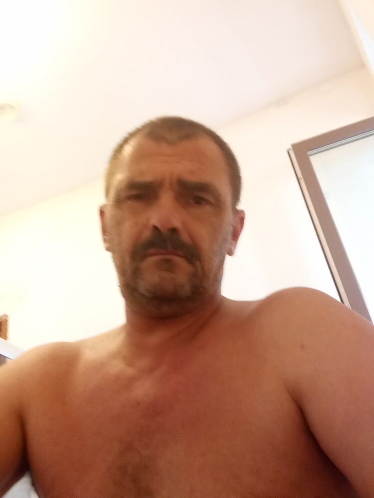  44361620  , 52 ,    -