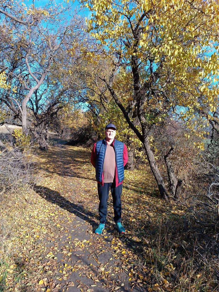  52713290  , 65 ,    --