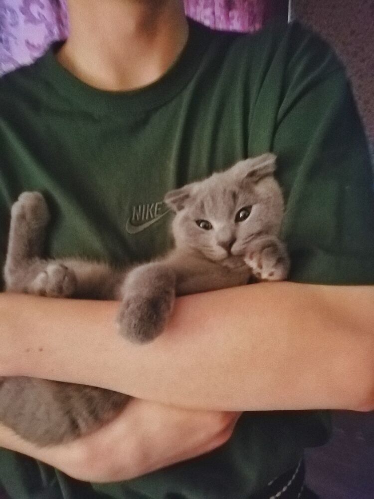 ���������� �������, ���� ����� ����, 22 ����, ������������ ��� ������, ����� � ���������, ���������