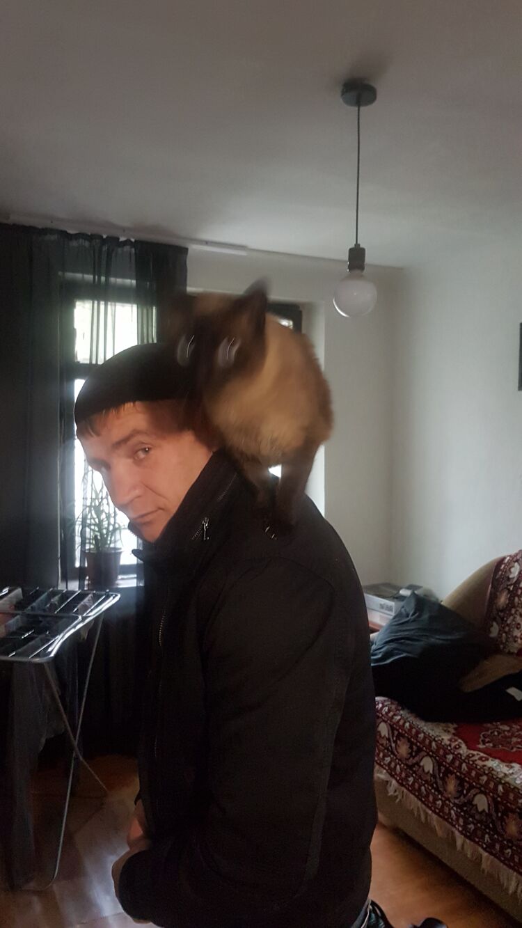 ���� 31108840 ������� ������, 39 ���, ���� ���������� � ��������