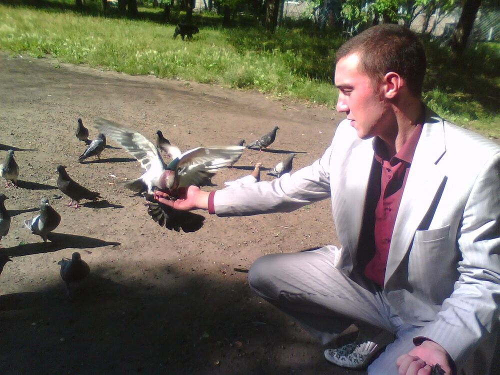 ���� 39161990 ������� ������, 36 ���, ���� ���������� � �����������