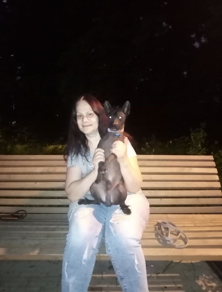 ,   , 61 ,   