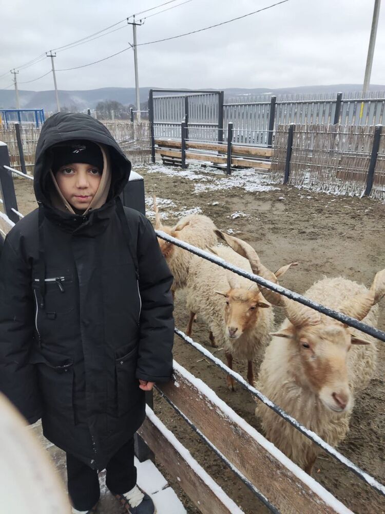 ���� 48238260 ������� �������, 43 ����, ���� ���������� � �������