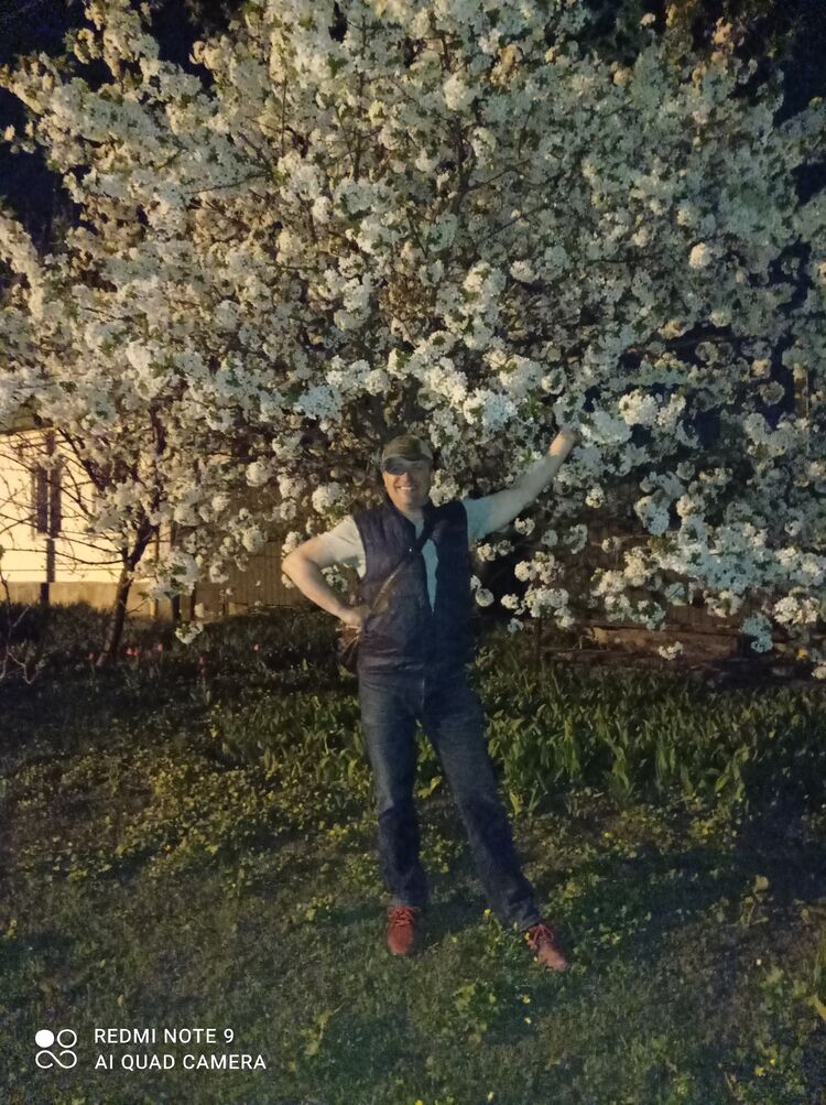  24019290  , 44 ,    