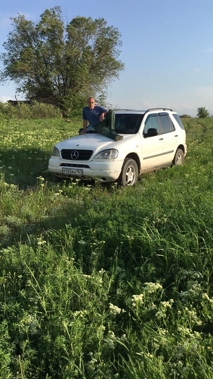 ���� 24120420 ������� ����������, 48 ���, ���� ���������� � �������-��-����