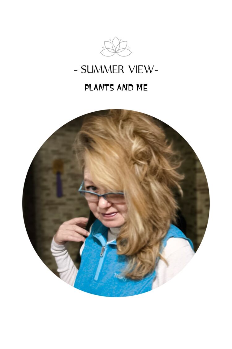 ���������� ������, ���� ������� ���, 56 ���, ������������ ��� c�������� ���������