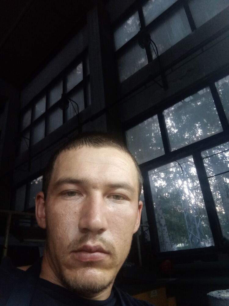 ���� 20492340 ������� �����, 33 ����, ���� ���������� � ���