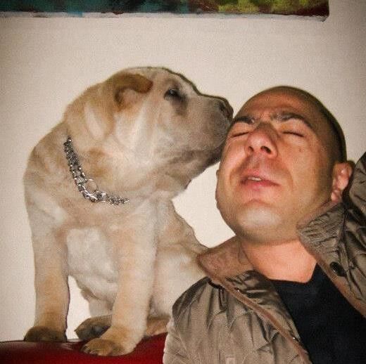 ���������� ������, ���� ������� Odi, 45 ���, ������������ ��� ������, ����� � ���������, c�������� ���������