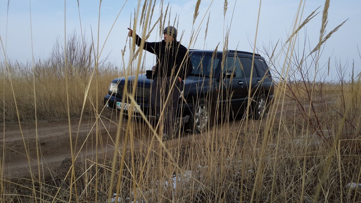 ���������� ������, ���� ������� �������, 34 ����, ������������ ��� ������, ����� � ���������, c�������� ���������