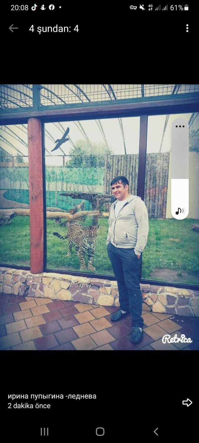 ���������� ������, ���� ������� ������, 38 ���, ������������ ��� ������, ����� � ���������