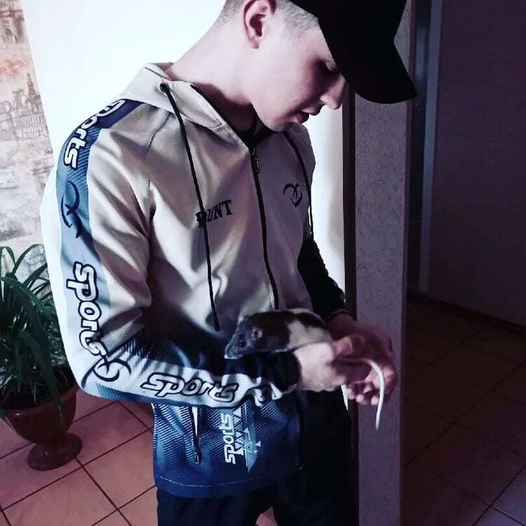 ���� 26459530 ������� �������, 28 ���, ���� ���������� � ���������