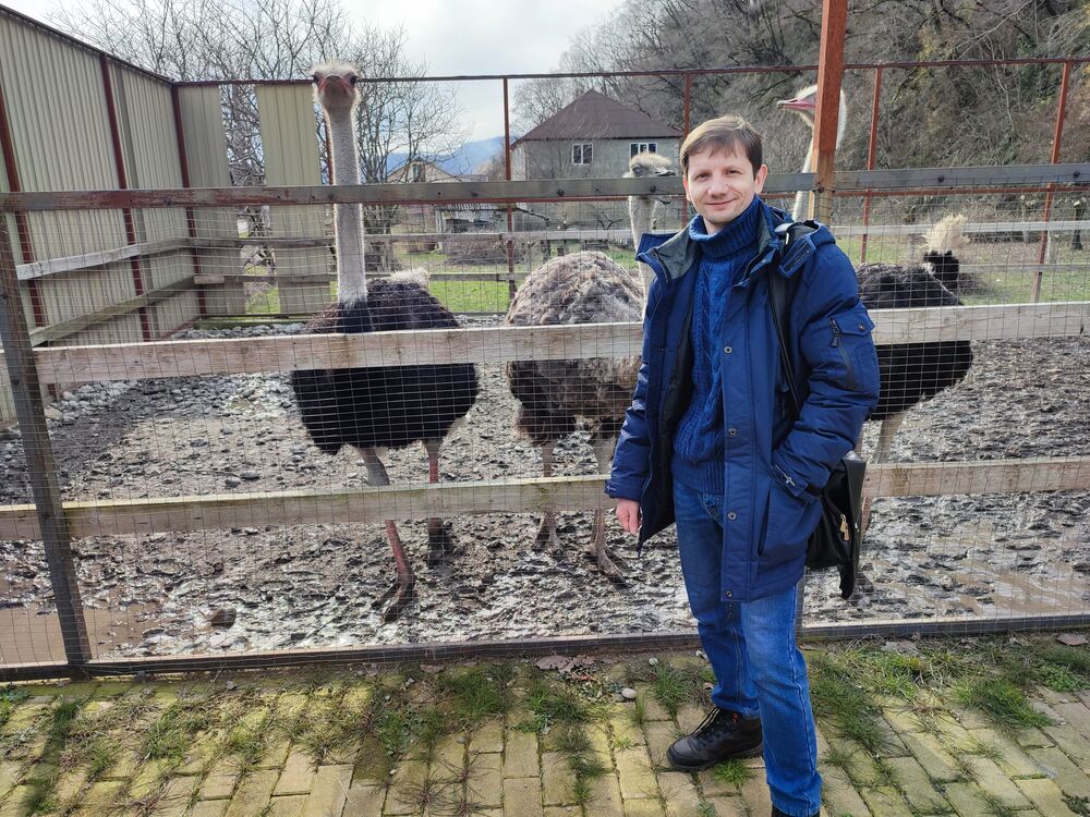 ���������� ������, ���� ������� ���������, 42 ����, ������������ ��� c�������� ���������, ���������