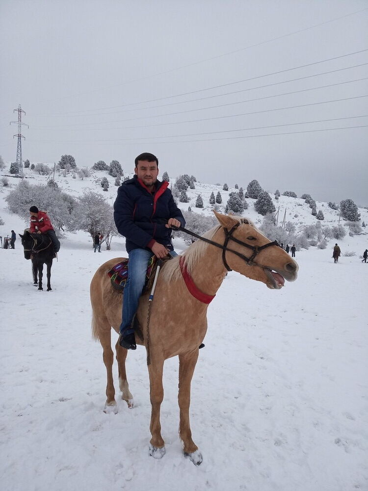 ���������� �������, ���� ������� ������, 37 ���, ������������ ��� ������, ����� � ���������, c�������� ���������