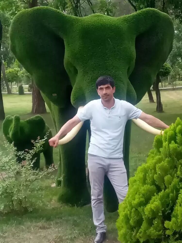  ,   , 34 ,   ,   