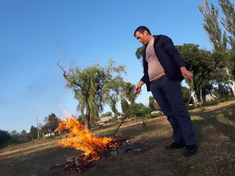  34008660  Temur, 34 ,    