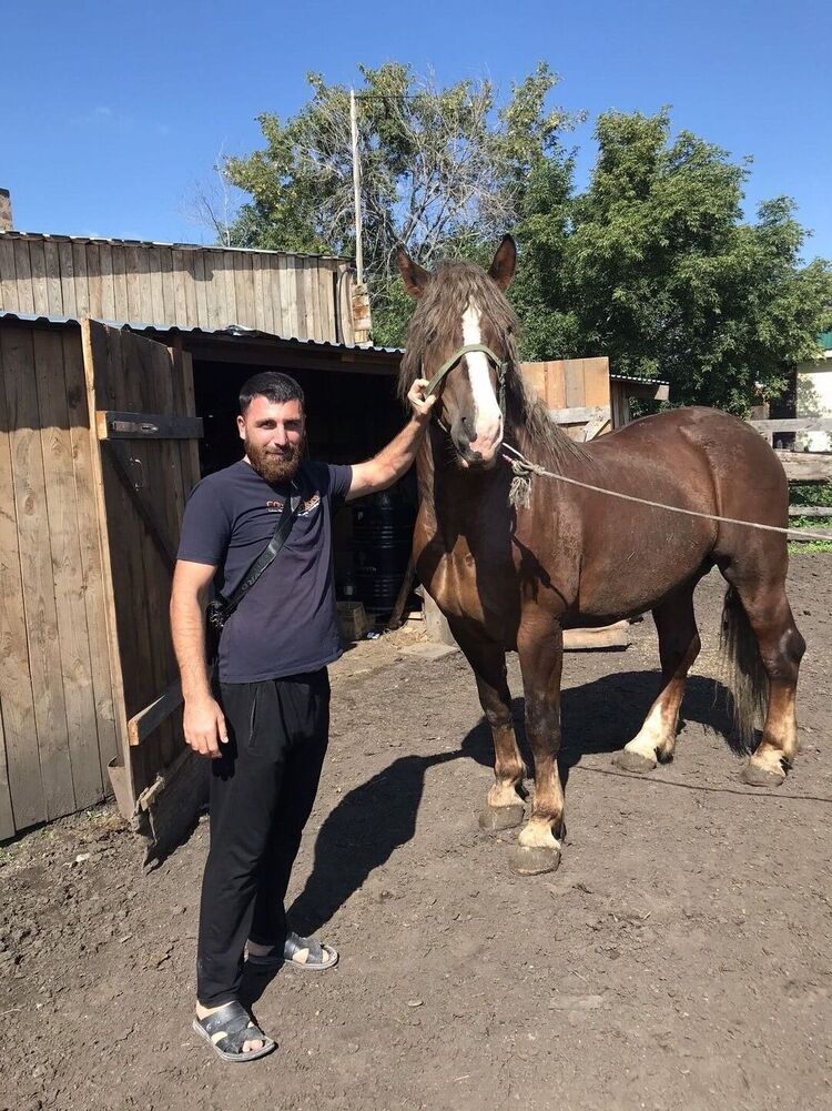 ���������� ����������, ���� ������� �����, 34 ����, ������������ ��� ������, ����� � ���������