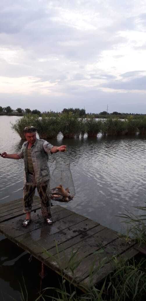 ���� 27222930 ������� ����������, 34 ����, ���� ���������� � ����������