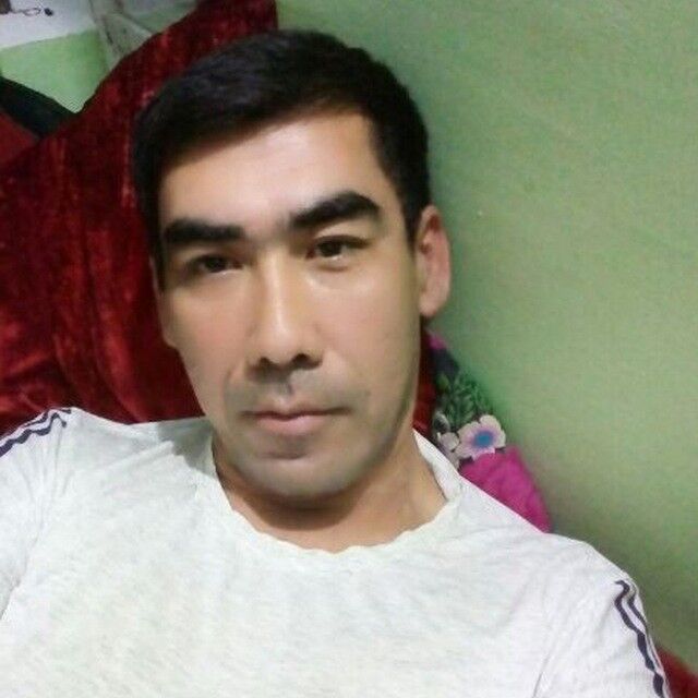  18396930  , 47 ,    