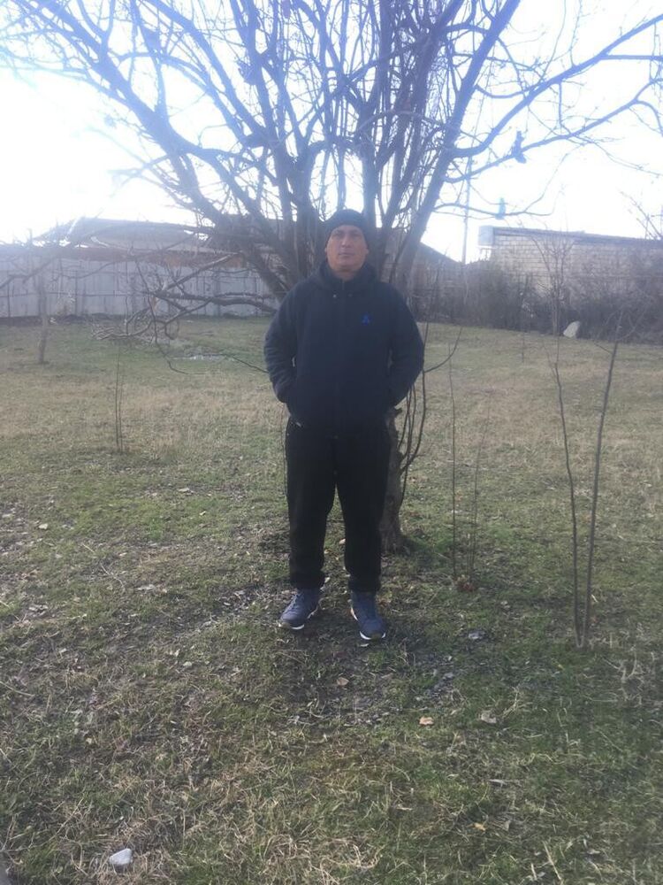  22131280  , 49 ,    